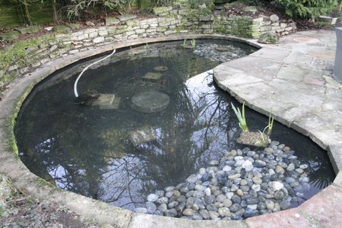 Pond Clean