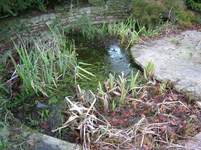 Garden pond clean works