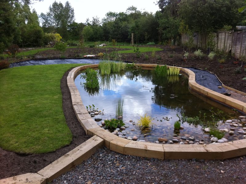 New pond build projects