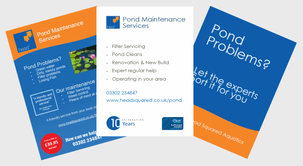 Marketing Materials / Fliers