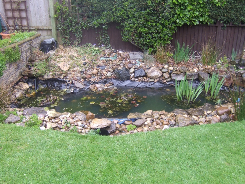 Mr Barber's New Build Formal Pond