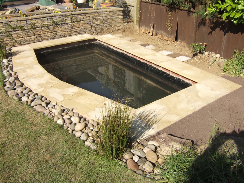 Mr Barber's New Build Formal Pond