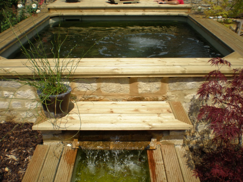 Stephen Dunning - Koi Pond new build