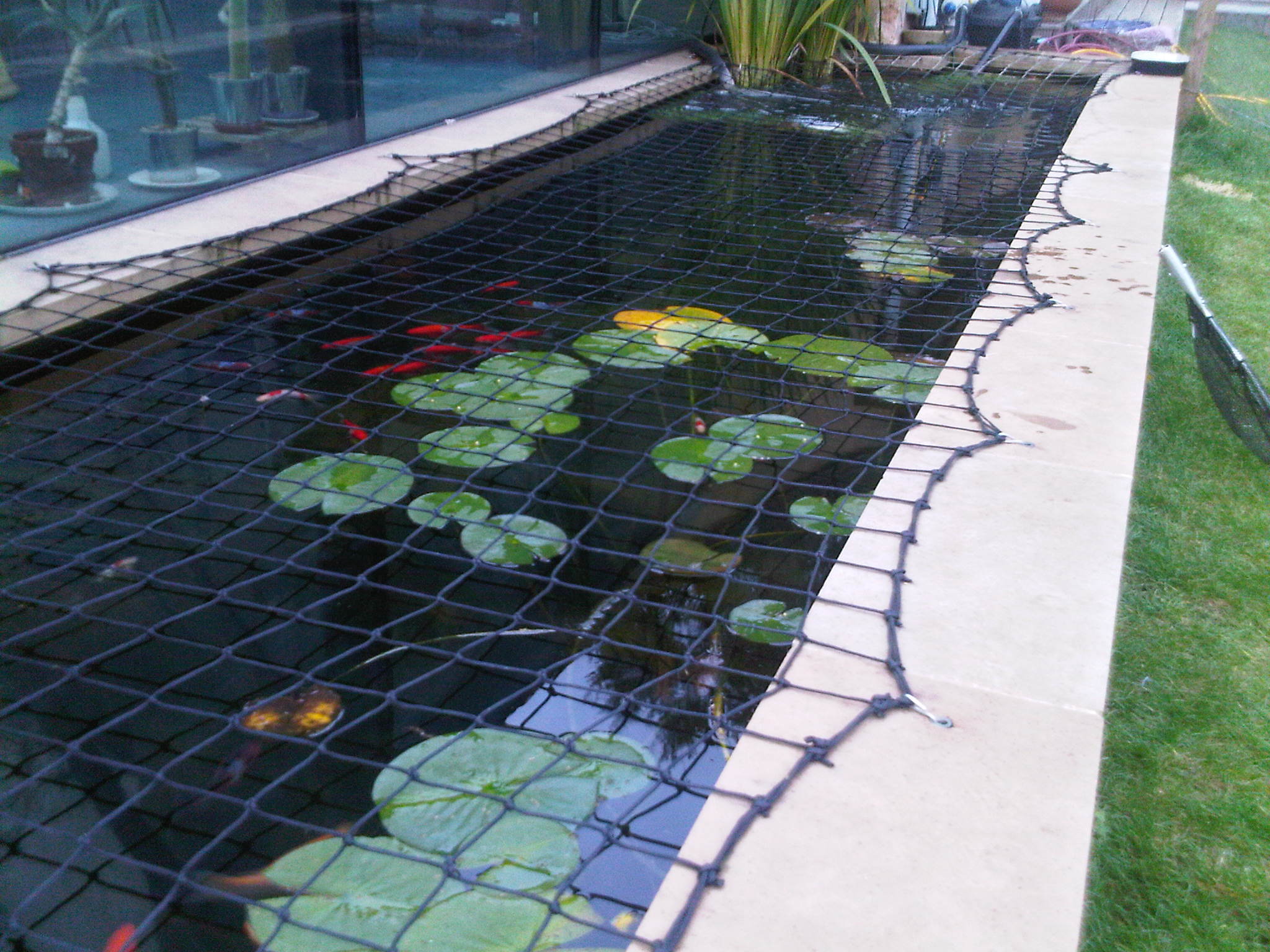 Pond Safety Nets