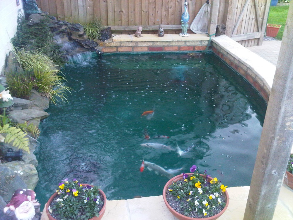 Pond re-lines and fibre glassing