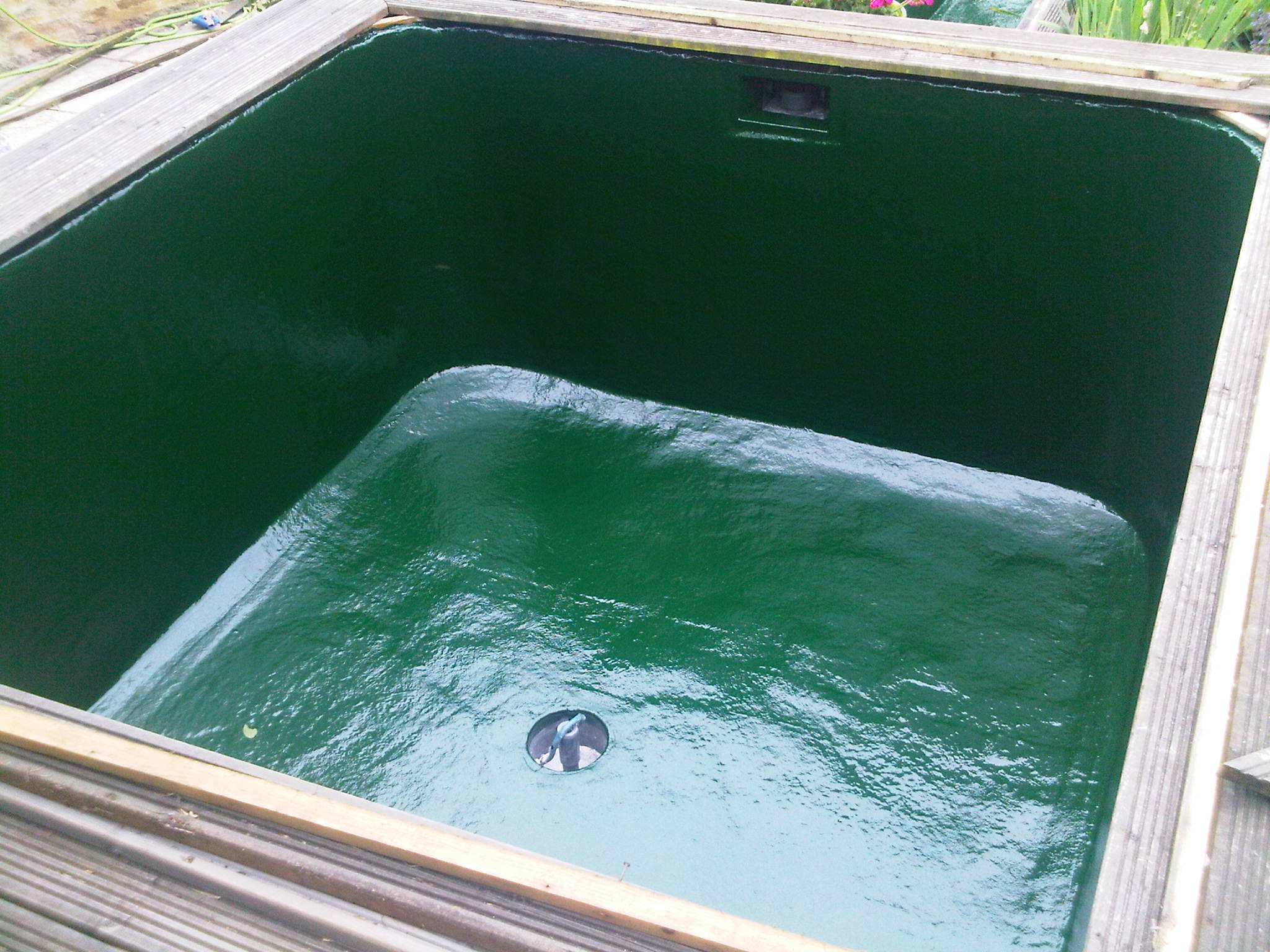 Stephen Dunning - Koi Pond new build