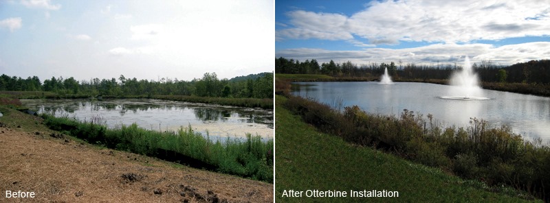 Lake Clearance Fountains before and after