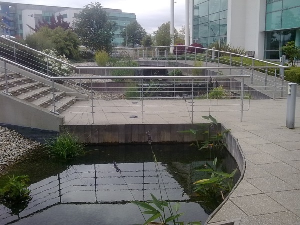 Pond planting