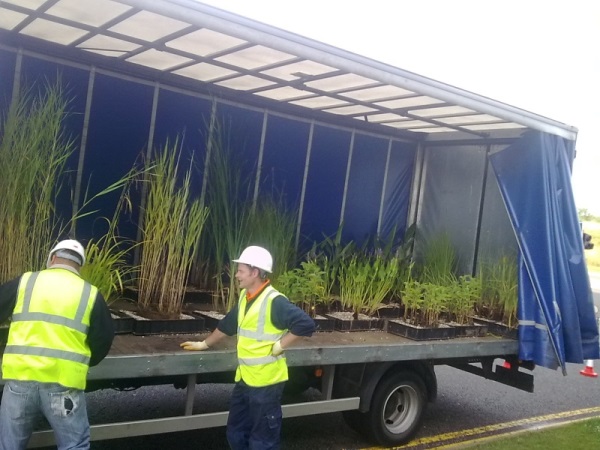 MEPC Leavesden Park - Planting works