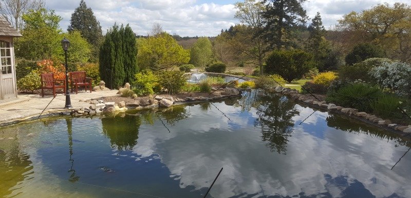 Large Multiple Ponds