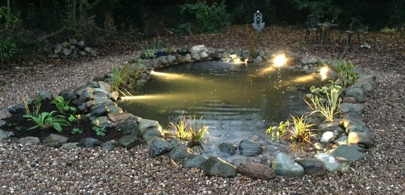 Pond Lighting