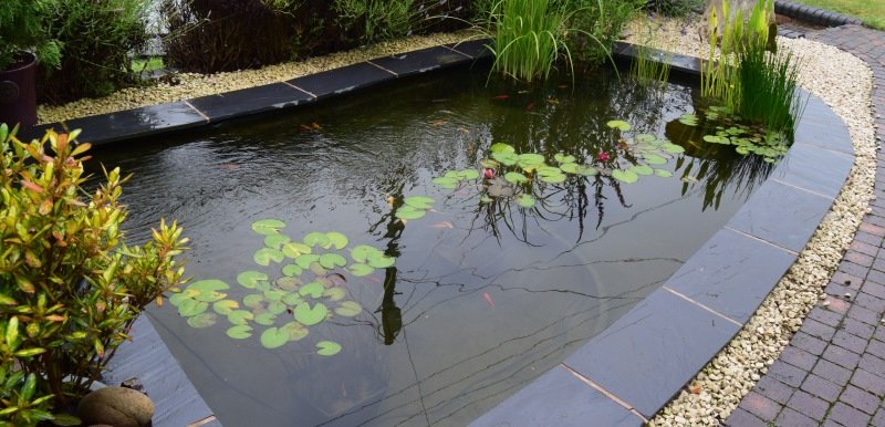 Pond with slate Edge