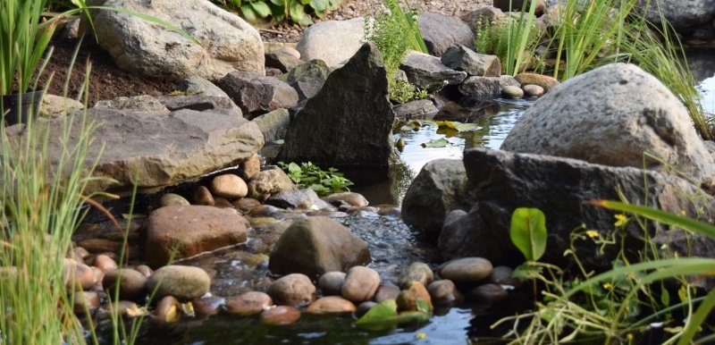 Waterfall Stream with Rocks